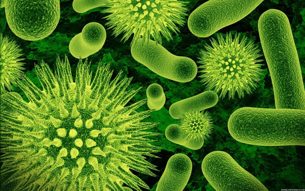 5 Everyday Things That Make Us Sick